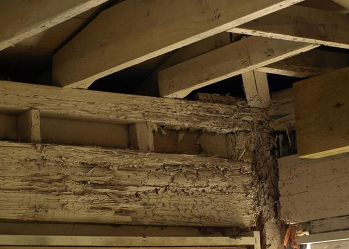 Eradication des nuisibles de charpente à Saint-Maur-des-Fossés dans le Val de Marne 94